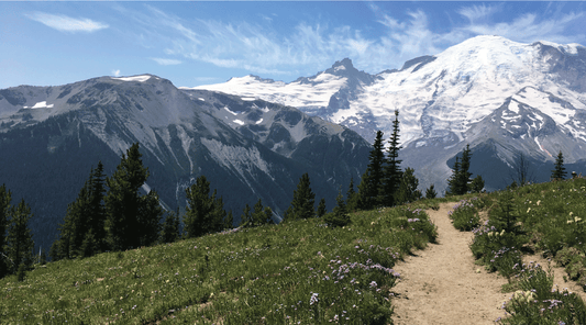 Chapter 1: Values, Session 3: Religion